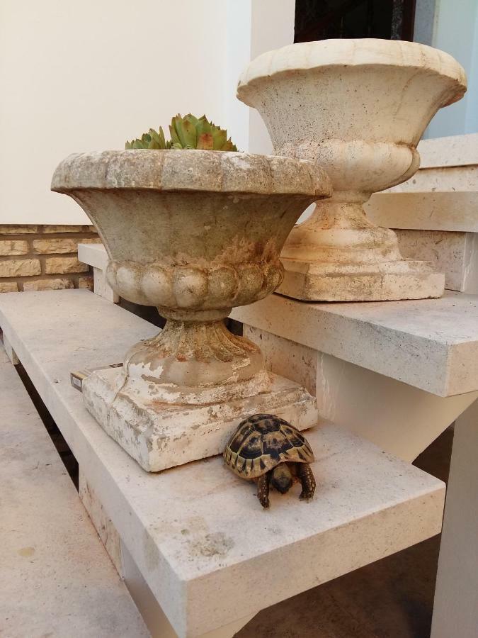 Villa Feodora Biograd Na Moru Exteriér fotografie